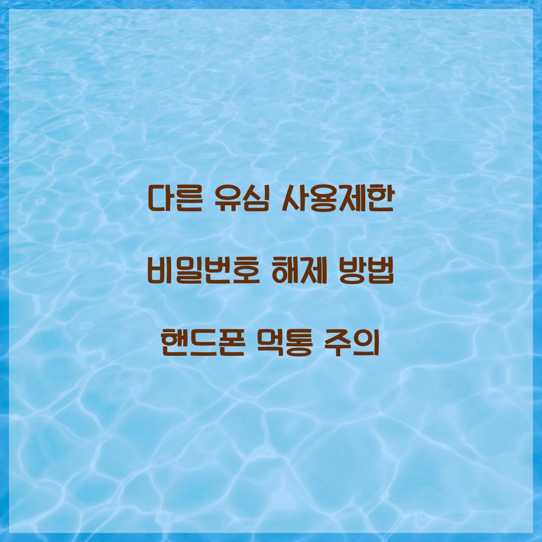 다른 유심 사용제한 비밀번호