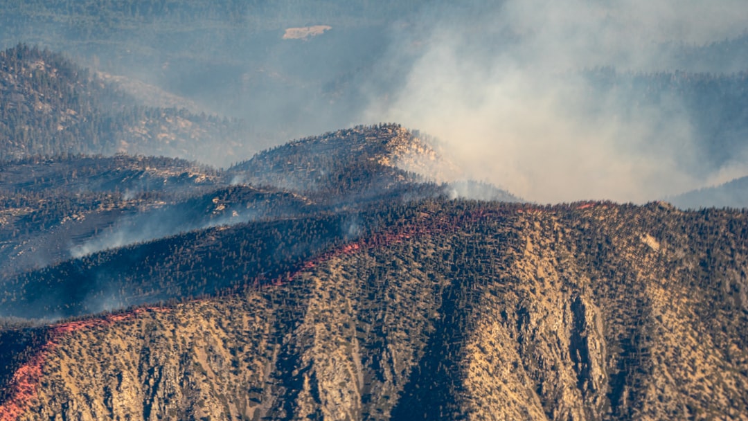Wildfire