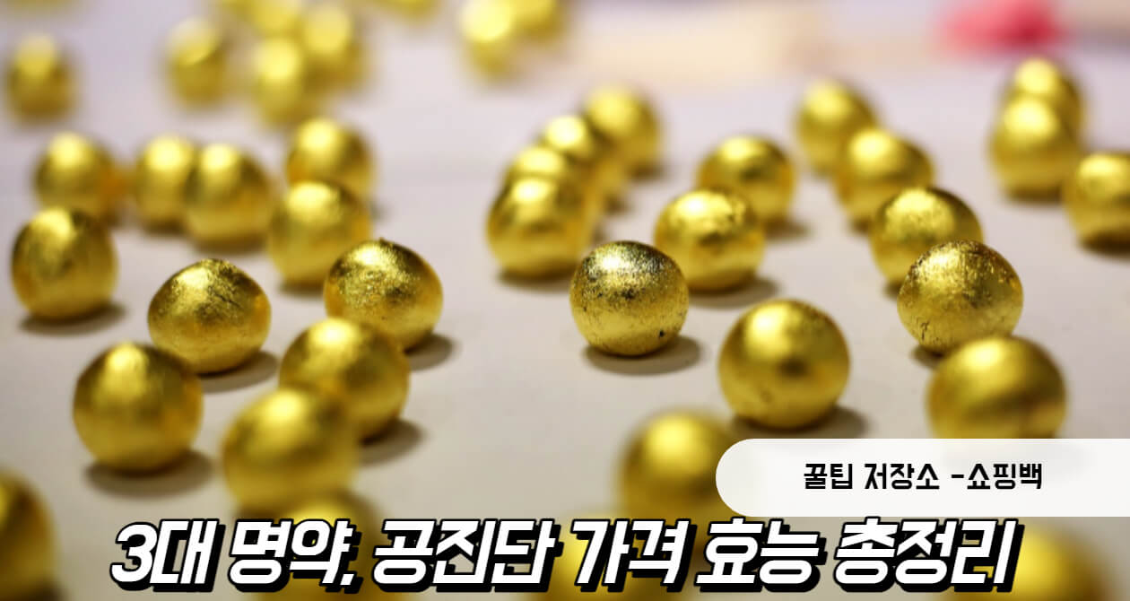 공진단 가격 효능 총정리 공진단 가격 효능 총정리