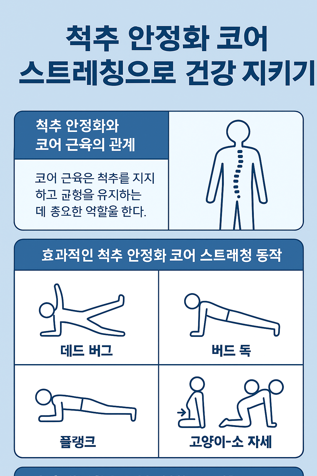 척추 안정화 코어 스트레칭으로 건강 지키기