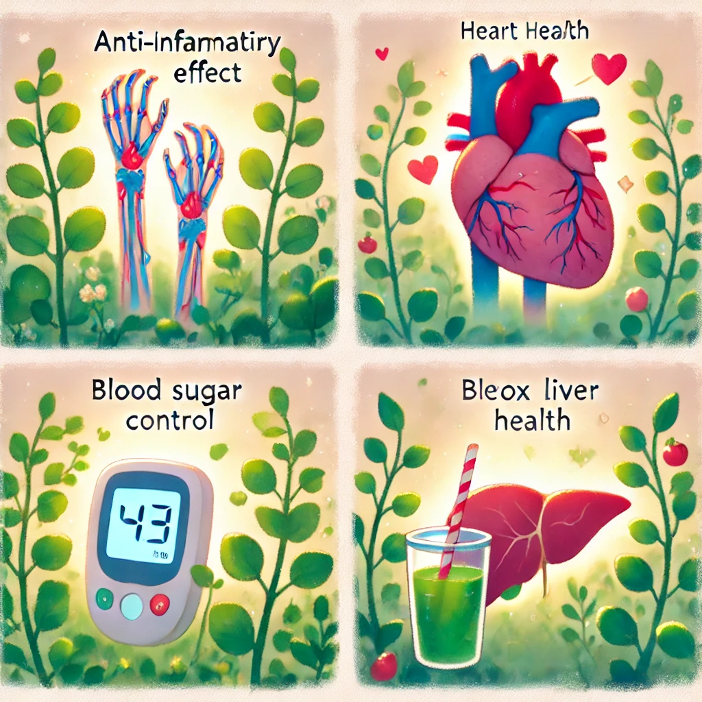 쇠비름나물 효능 양념 무침 만들기 요리 레시피 관련 사진