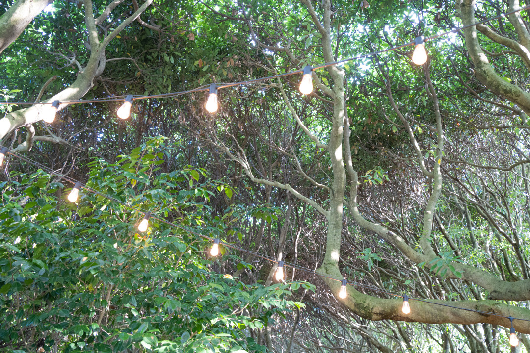 카멜리아힐 수국