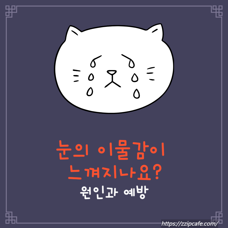 눈 이물감