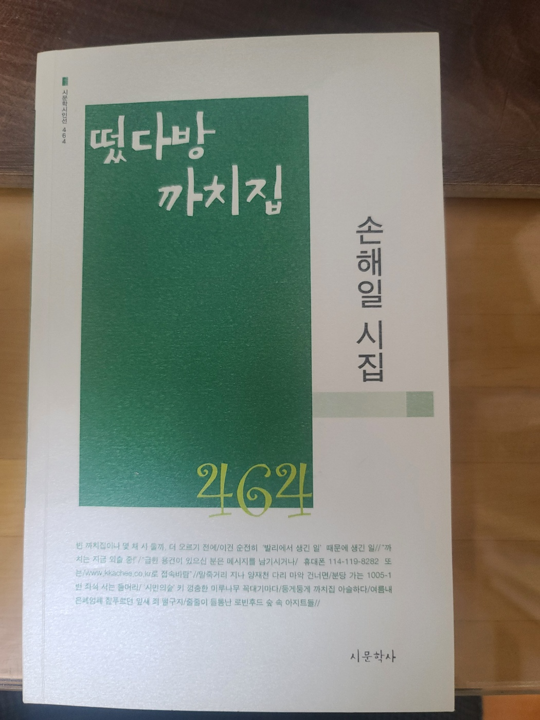 떴다방 까치집, 손해일 시집