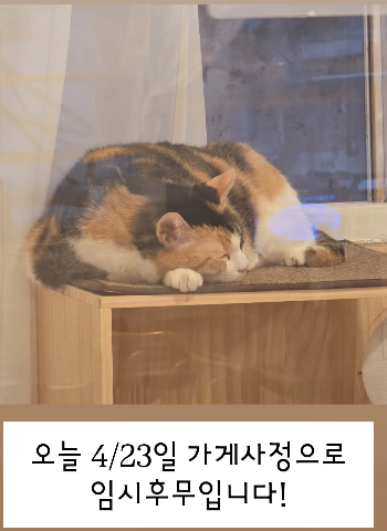 고영희식당 나나