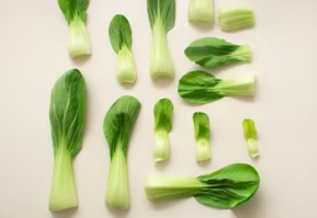 식어도 맛있는 피크닉 도시락 메뉴&amp;#44; 두릅 베이컨 말이와 특제 소스