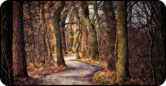 ๋ด์ฅ์ฐ ๋ฑ์ฐ์ฝ์ค ์ถ์ฒ(+ ๋ฑ์ฐ์ง๋ )