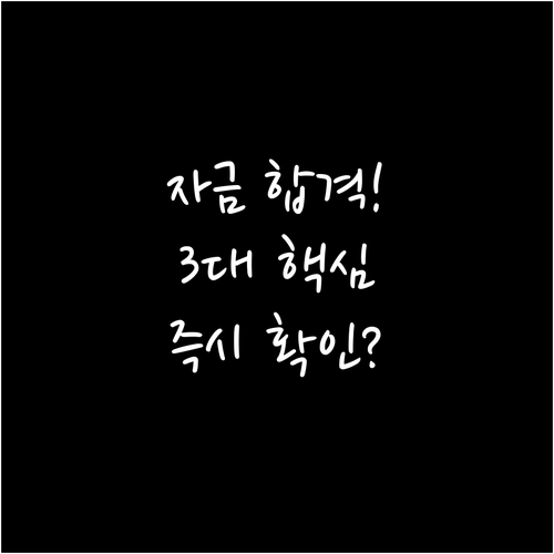 중소기업 정책자금 심사 성공을 위한 ..