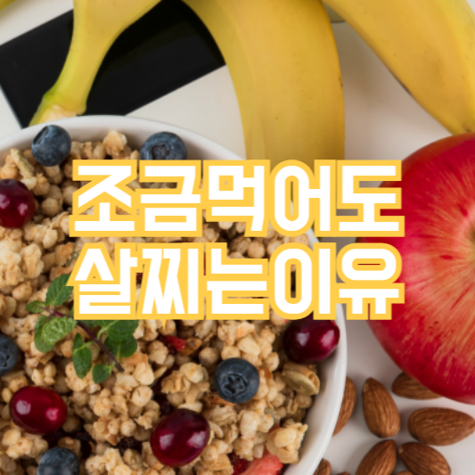 조금 먹어도 살찌는 이유, 음식!? 근육!?