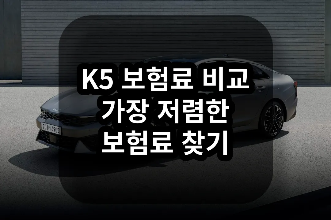 K5 자동차 보험 비교