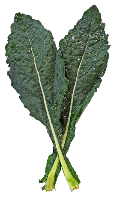 뉴질랜드 컬리 케일 종류부터 효능&middot;부작용&middot;복용법