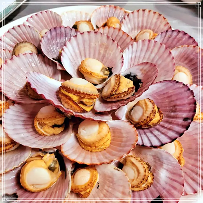 목포 맛집 오션뷰 포장마차&#44; 오징어 통찜&#44; 숙회