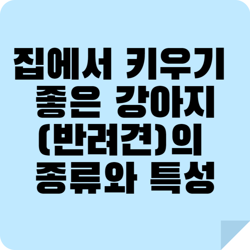 집에서 키우기 좋은 강아지(반려견) 종류별 특징과 특성