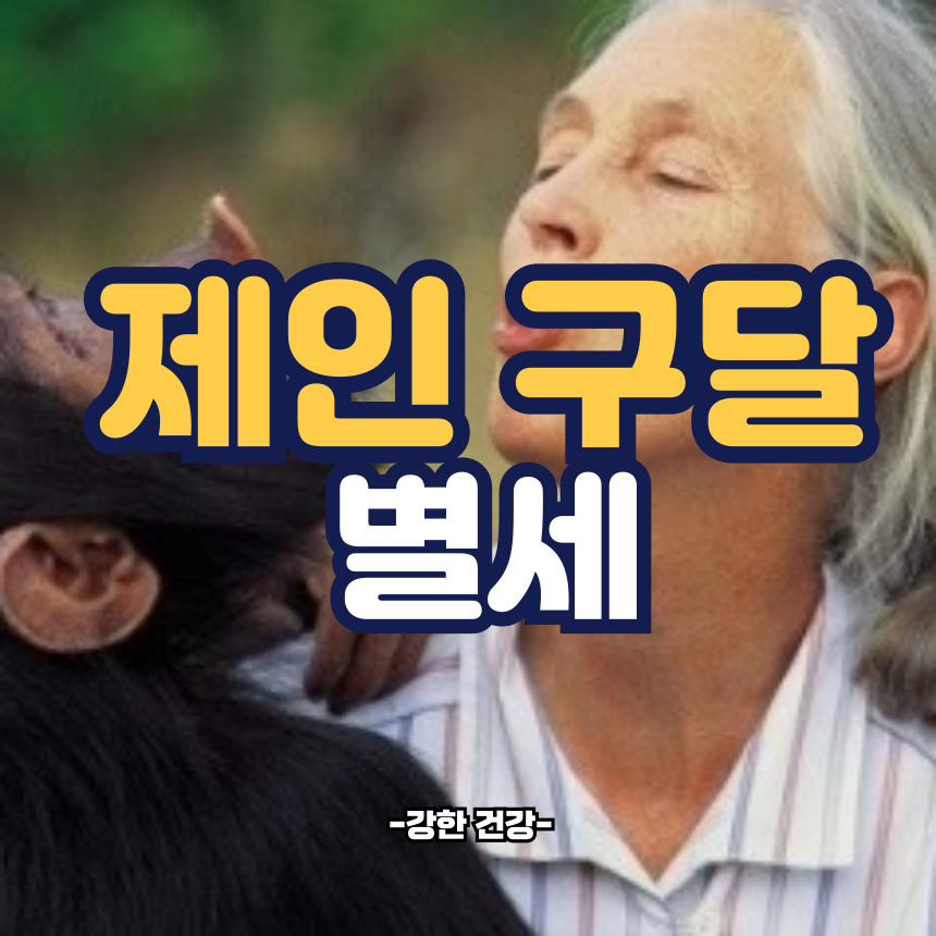 제인 구달 별세