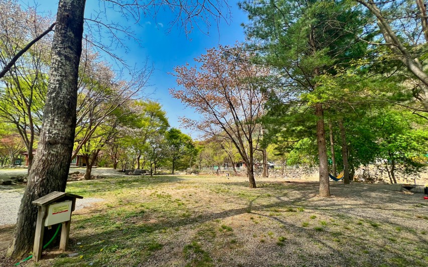 가평-유명산밸리캠핑장-전경