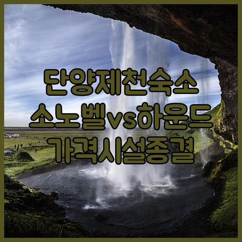 단양 제천 숙소 추천 소노벨부터 하운..