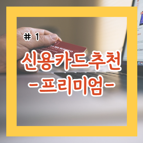 프리미엄 신용카드 실사용 후기