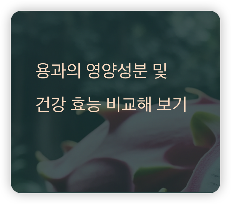 용과-섬네일