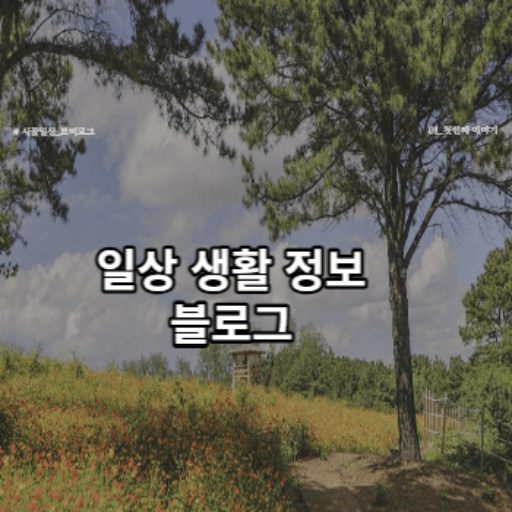 생활 정보 블로그