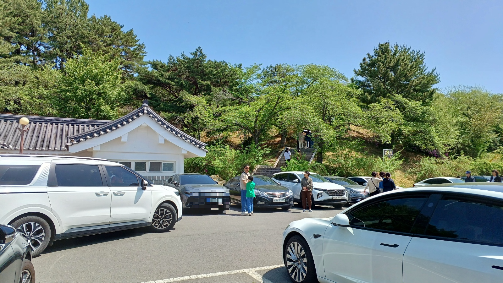 겹벚꽃 가는길
