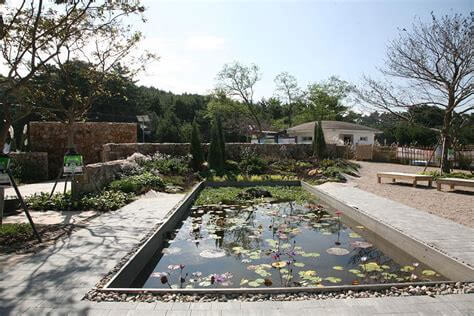 2025 천리포수목원 목련축제 입장료 사전예약