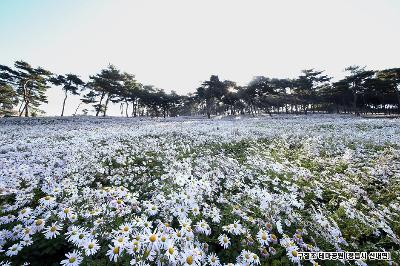 내장산 단풍여행