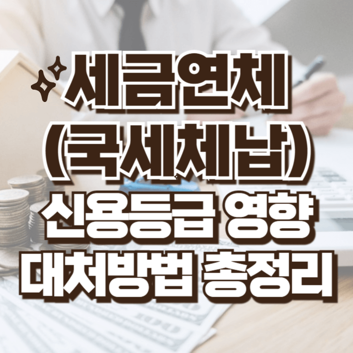 세금 연체 미납 국세체납시 신용등급 영향과 대처방법 총정리