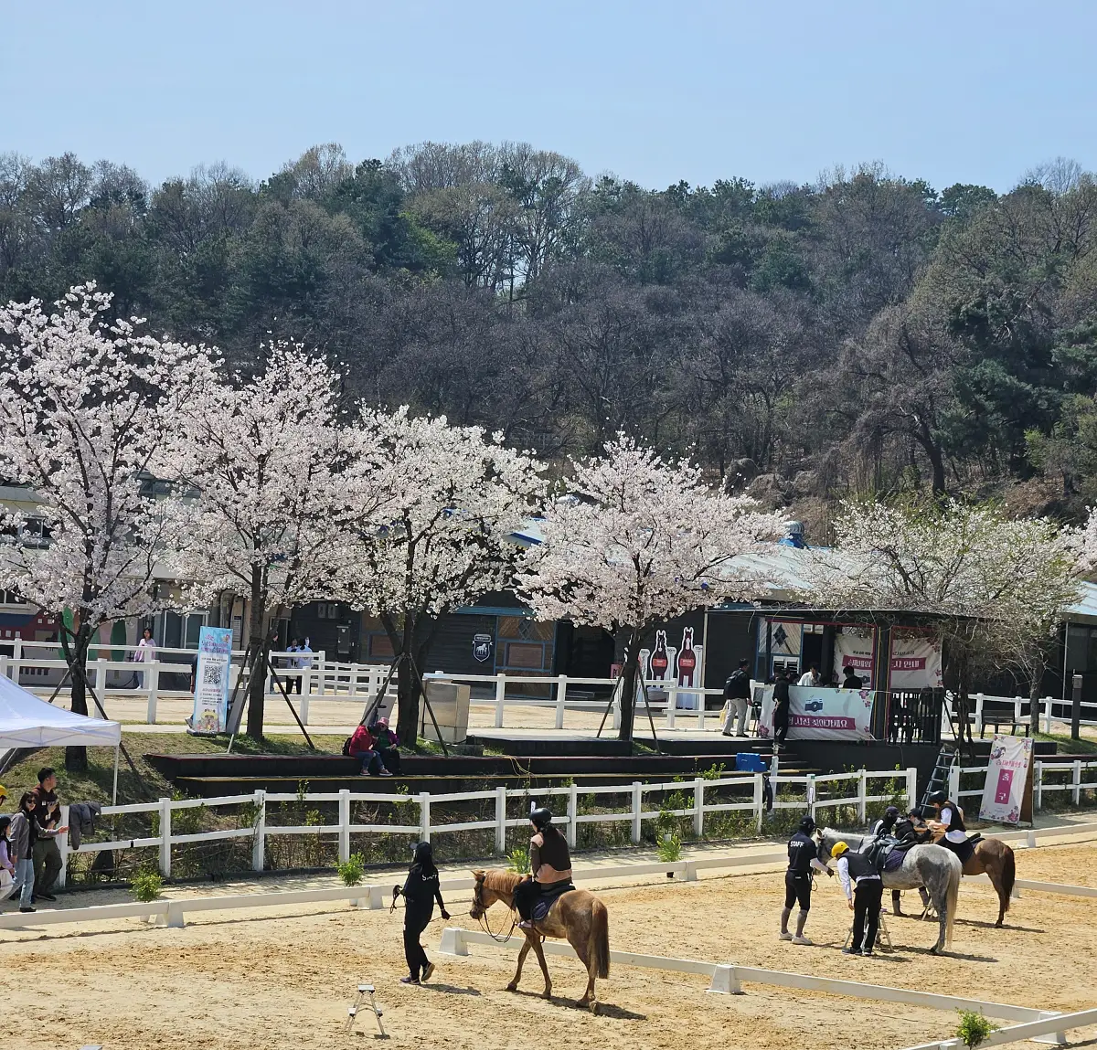 꽃과말