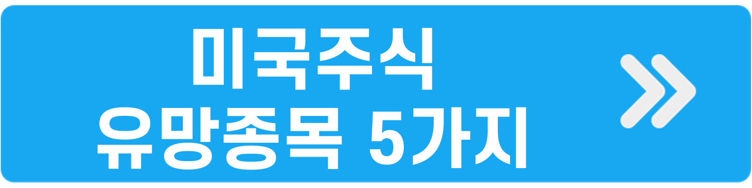 미국주식 유망종목 정리