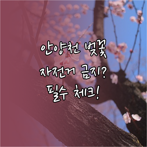 안양천 벚꽃 개화 시기 및 자전거 출..