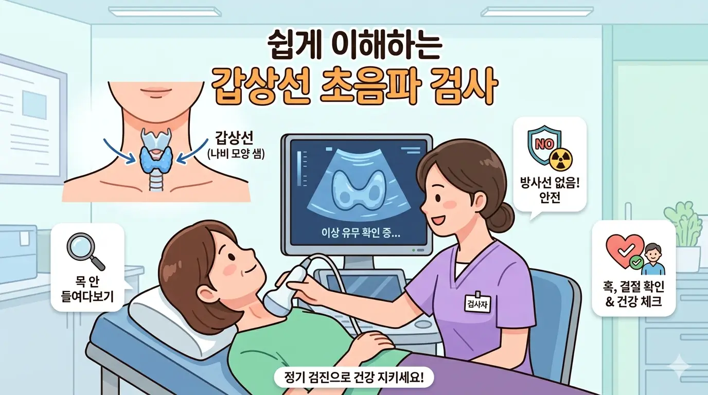 갑상선 초음파 비용