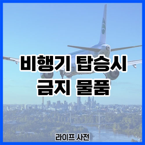 비행기 탑승시 금지 물품