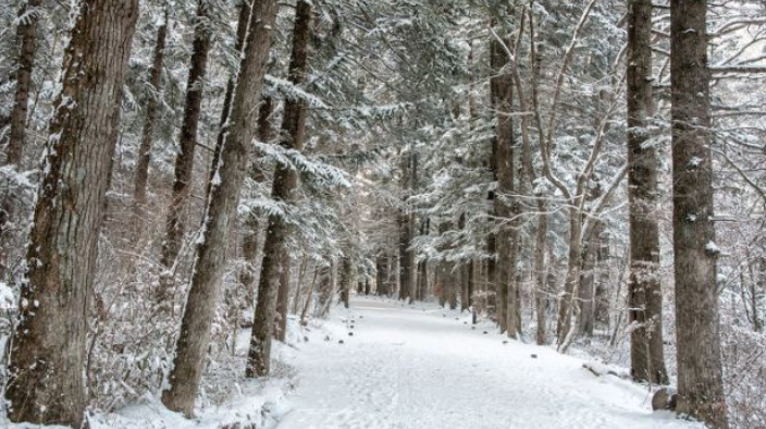1월 강원도 가볼만한곳 ❘ 국내 겨울 갈만한곳 새해 여행지 추천 ❘ 데이트 여행 가족 실내 나들이 당일치기