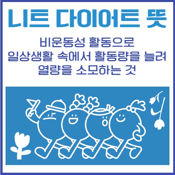 니트 다이어트 뜻