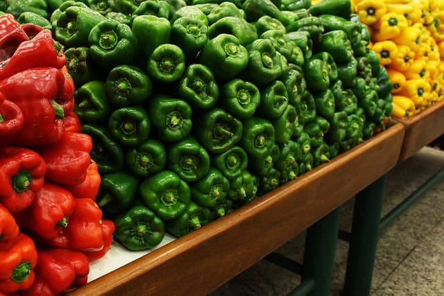 재활용을 넘어서: 지속 가능한 소비의 미래