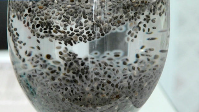 불려진 치아씨드 젤리 컵