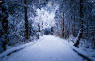 27일 연휴 임시공휴일 지정