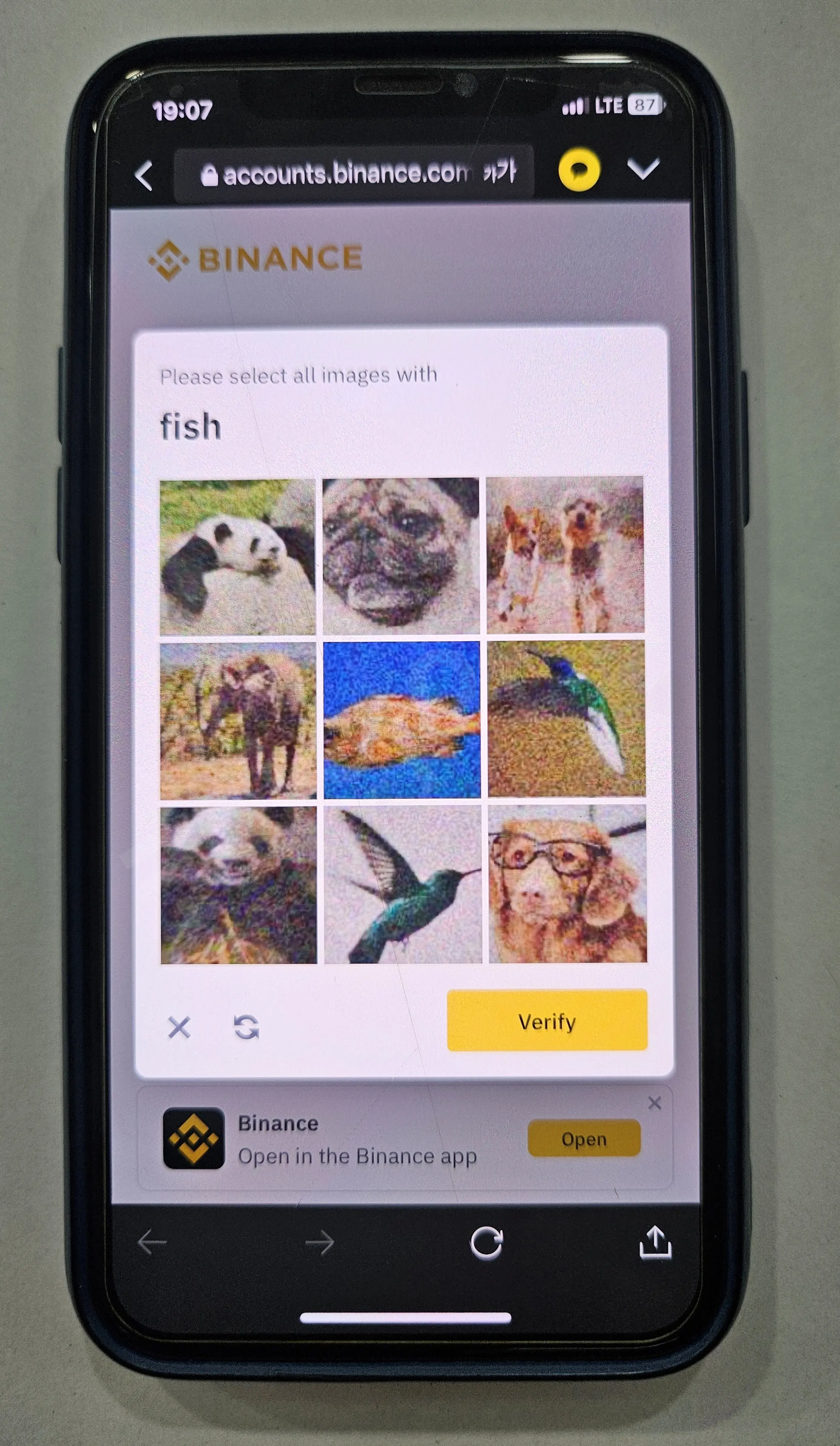 바이낸스-가입2