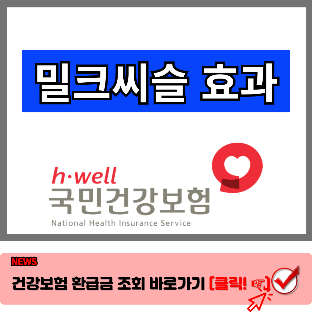 밀크씨슬 효과 및 복용법 : 간 건강을 위한 최고의 선택 1