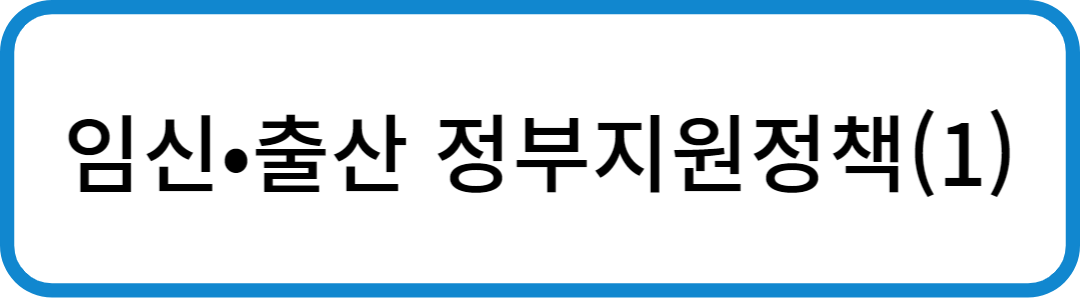 임신출산정부지원정책1