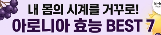 아로니아 효능