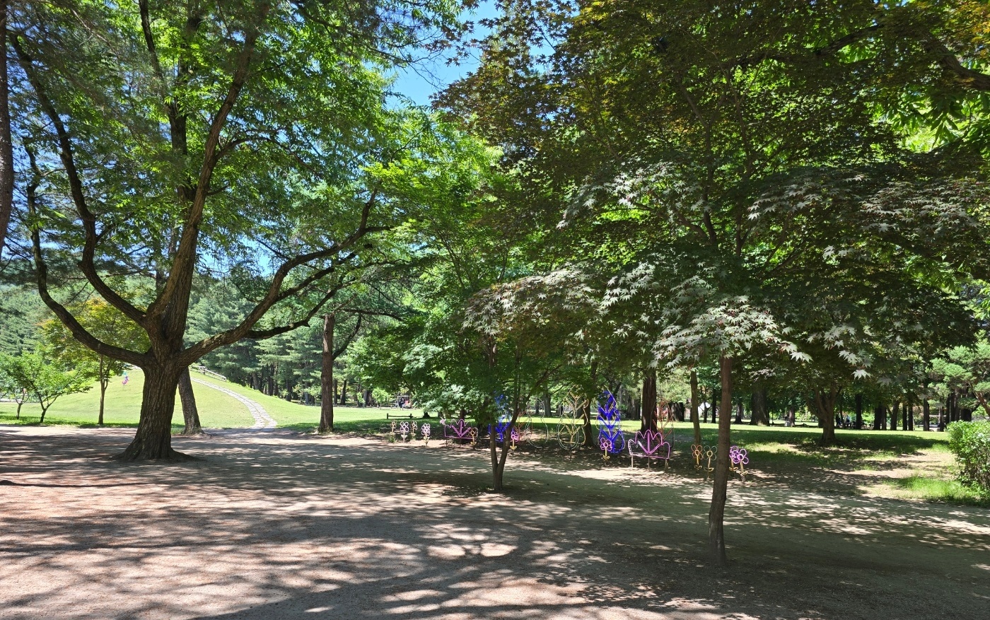 남이섬 산책길 이미지