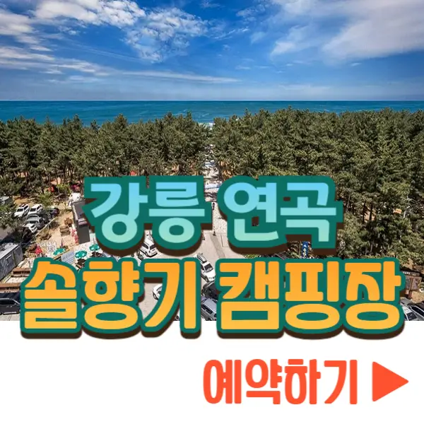 연곡 솔향기 캠핑장 예약하기