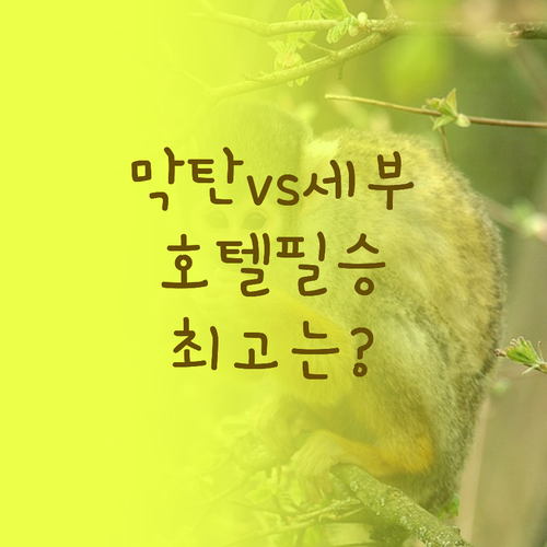 막탄과 세부 시티 어디가 좋을까 내게..