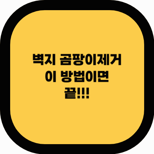 이 방법이면 끝! 벽지 곰팡이 제거 & 재발 방지 100% 해결법