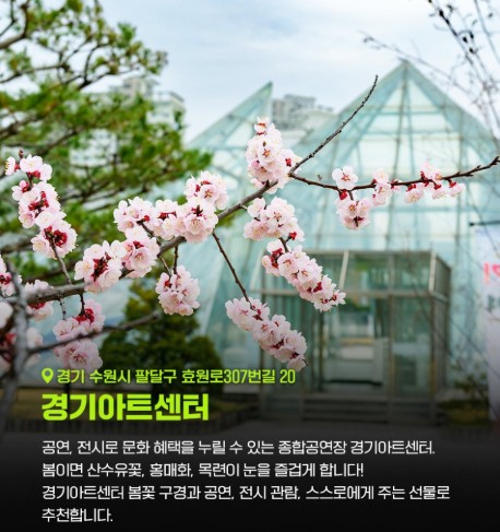 [봄꽃구경] 서울 근교 봄나들이 갈만한 곳 경기아트센터