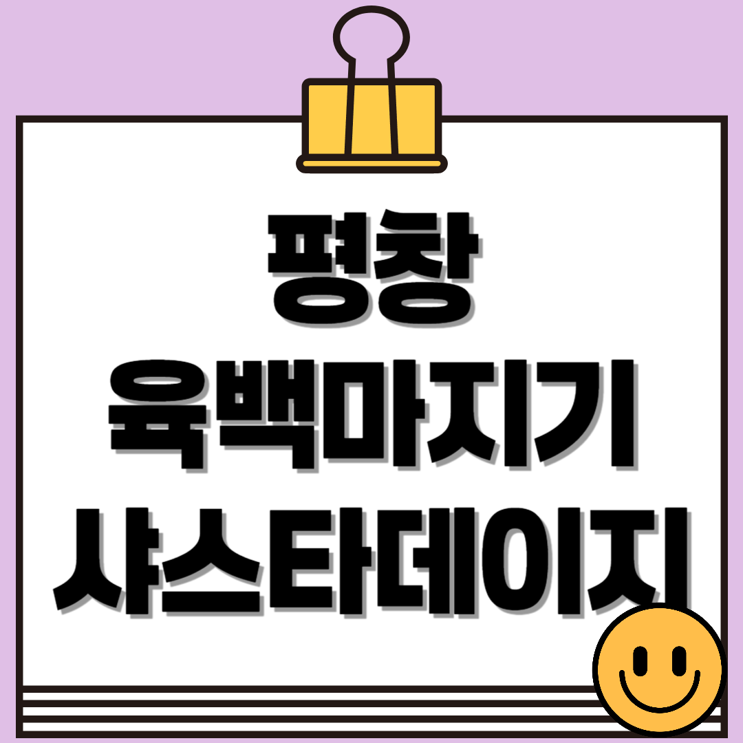 평창 육백마지기 샤스타데이지 개화 시기·위치·주차 정보 총정리