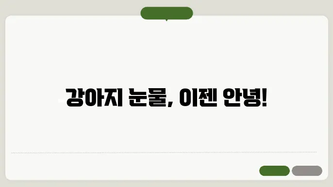 강아지 눈물자국 제거제 추천 BEST5, 효과와 사용법 알아보기
