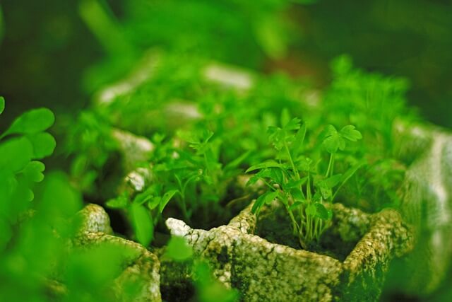 2025 공익직불금 신청방법 총정리|신청자격부터 지급시기까지 한눈에!