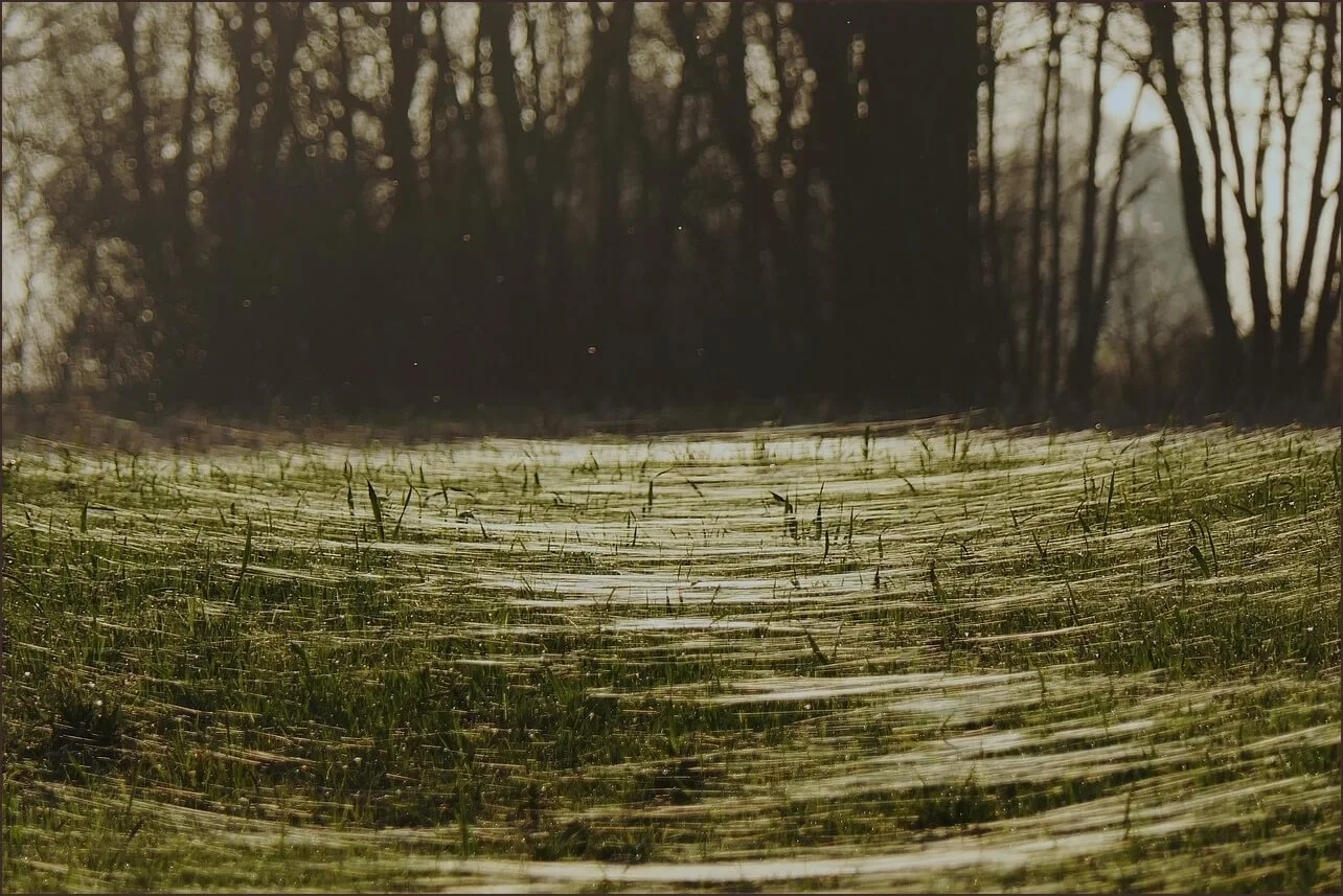등기부등본 발급 어디서